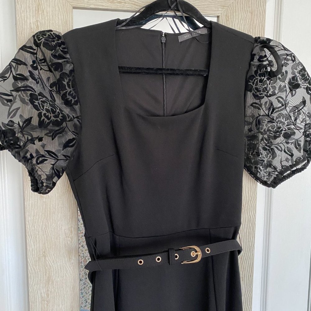 A-Line Dress with Floral Sheer Sleeves